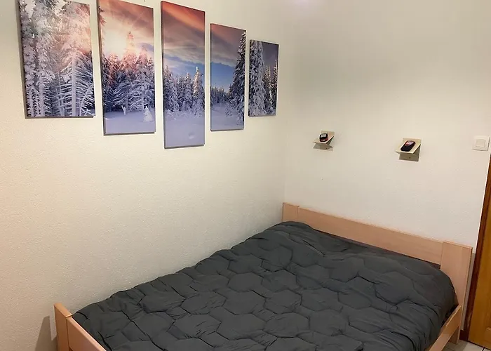 Prázdninový dům Les 18 Personnes La Bresse